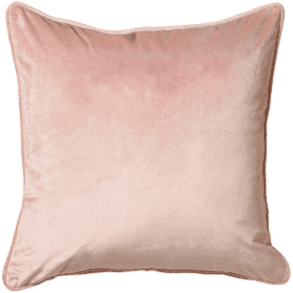 Bellingham  super designer Velour Cushion with feather filling