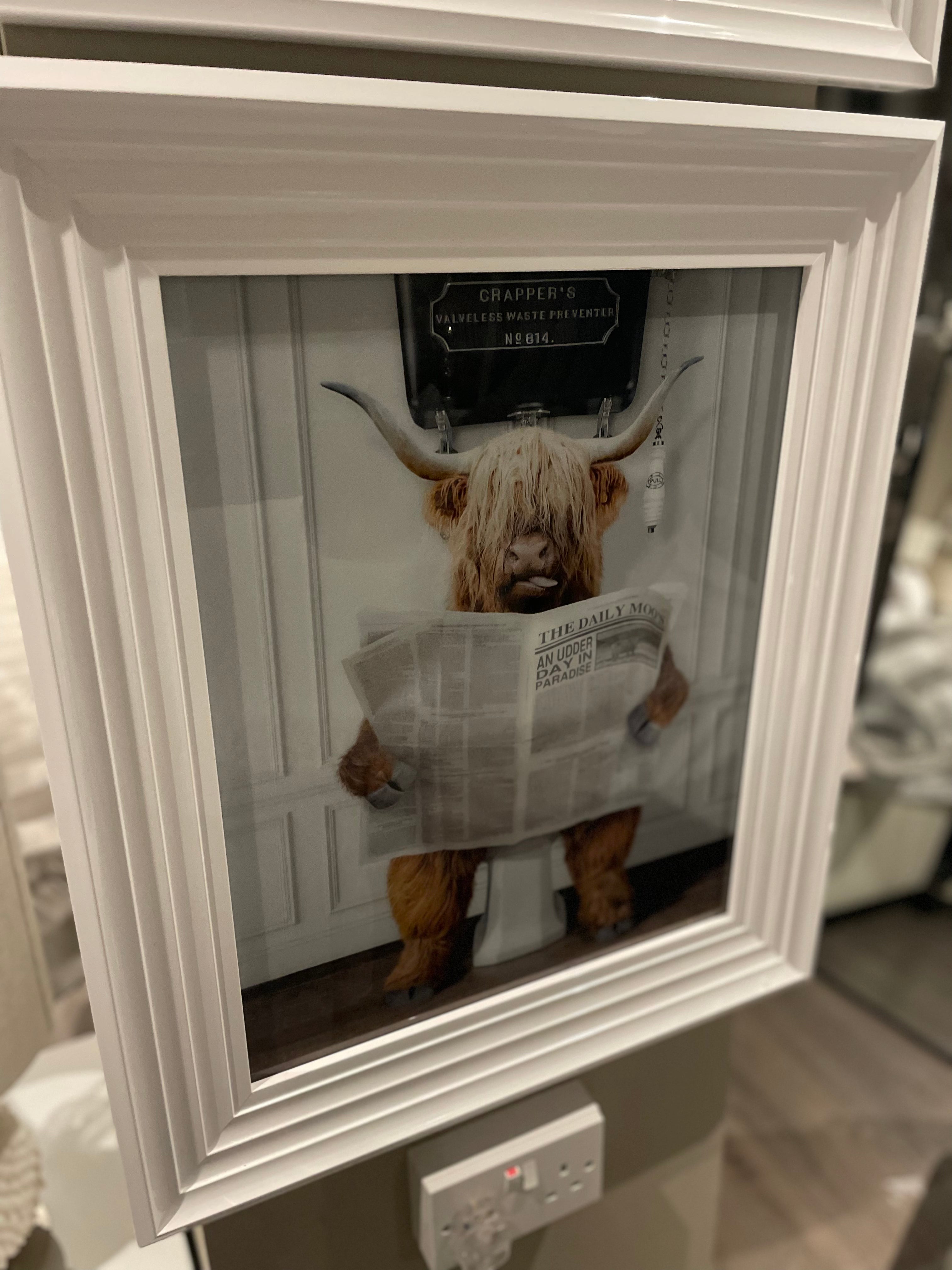 Bull reading paper Medium framed art work-Renaissance Design Studio