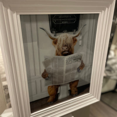 Bull reading paper  Medium  framed art work