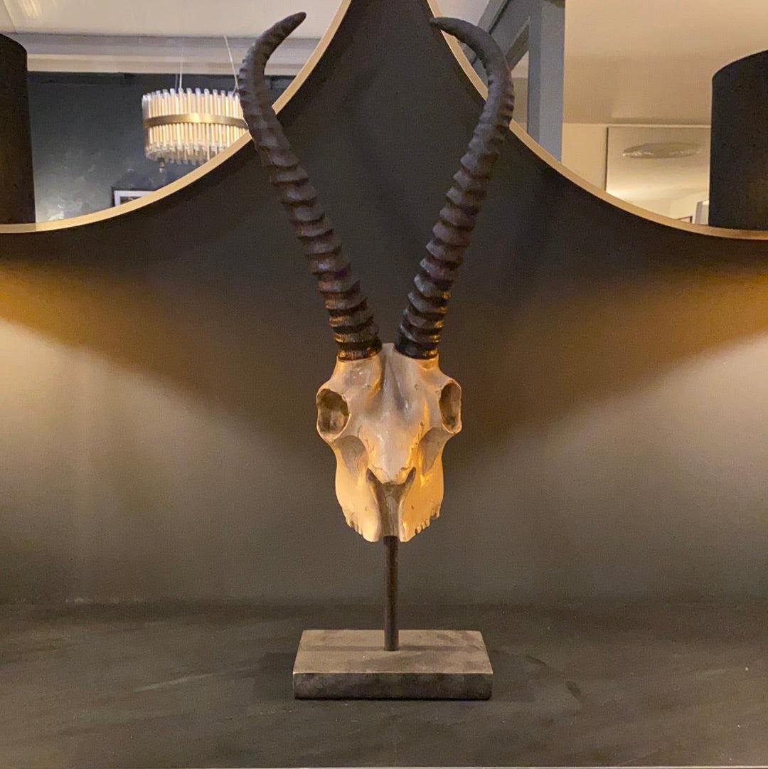 Camden Club Skull sculpture-Renaissance Design Studio