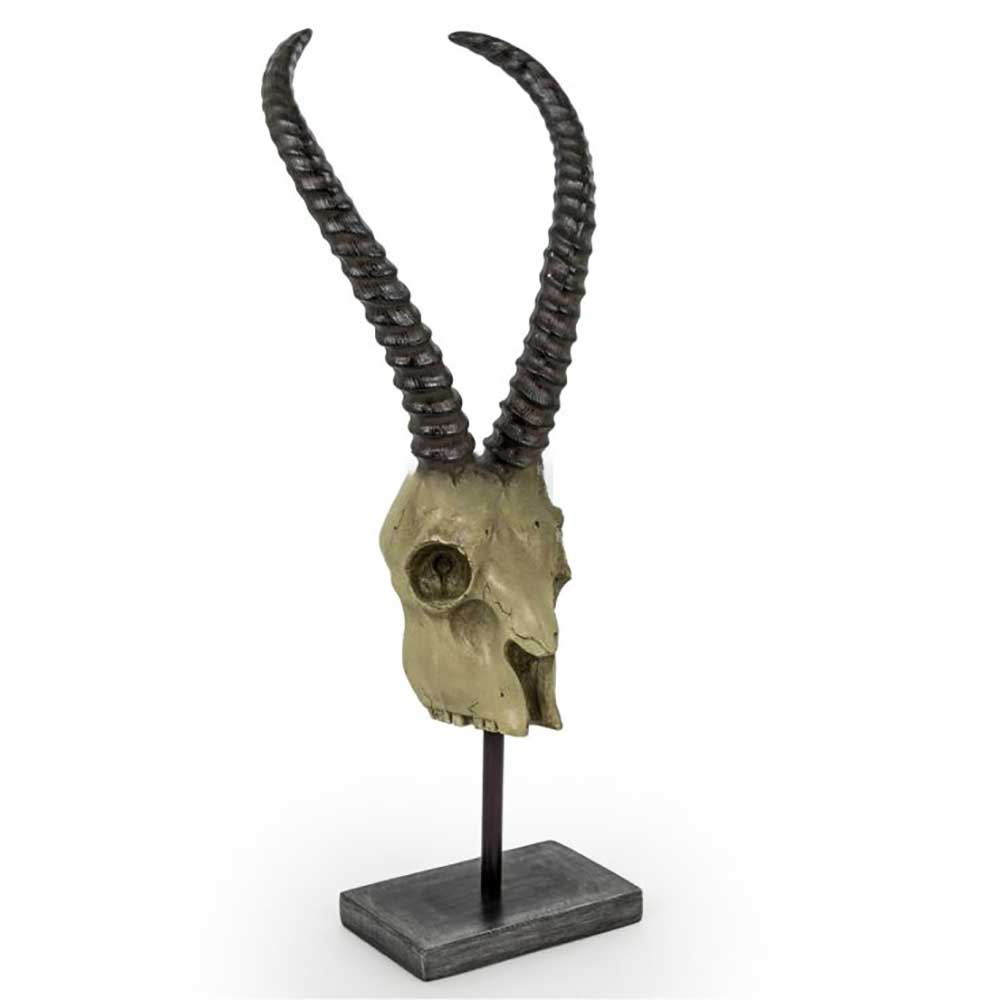 Camden Club Skull sculpture