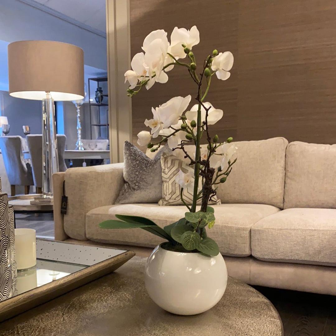 Decorative Orchid in white pot-Decorative Flower-Renaissance Design Studio
