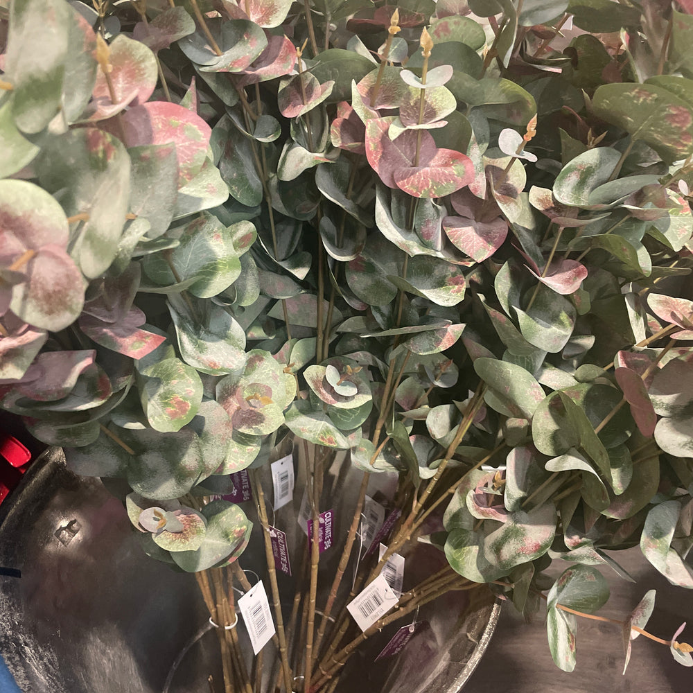 Eucalyptus leaf   spray 93 cm per stem