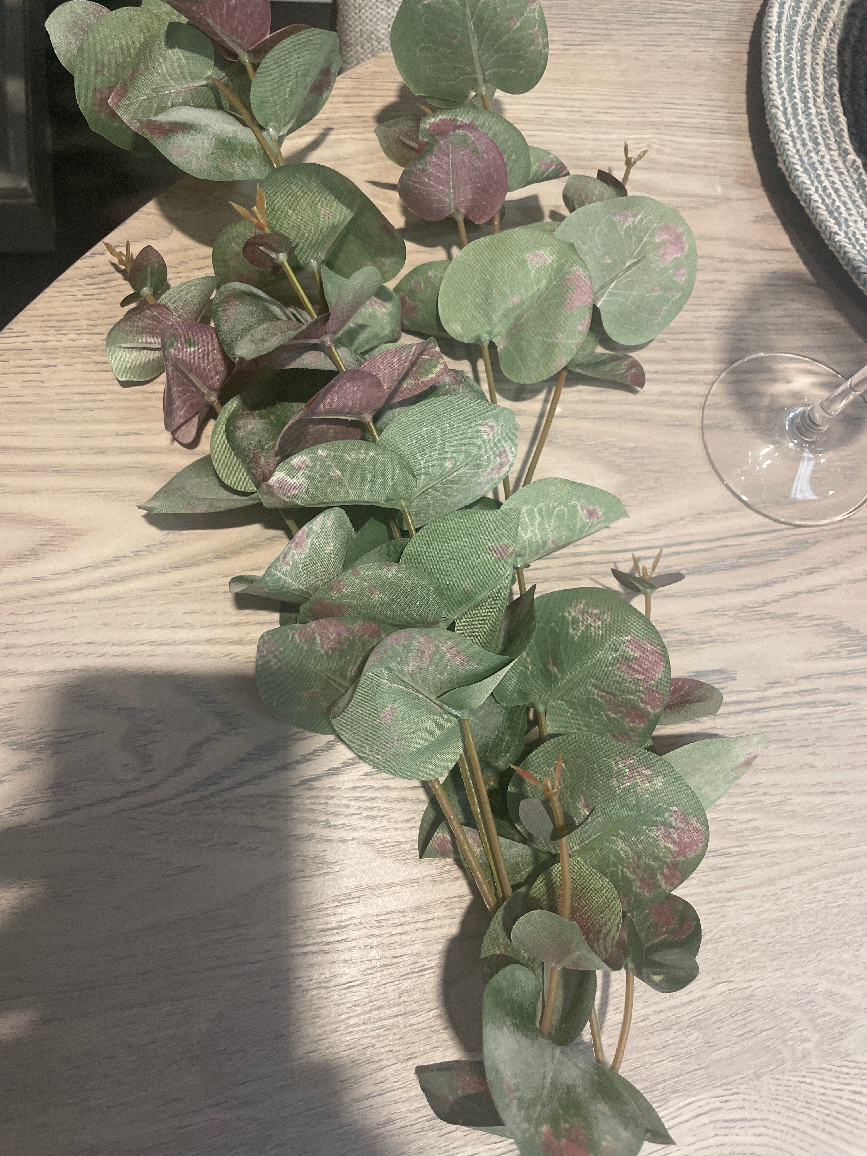 Eucalyptus leaf spray 93 cm per stem-Renaissance Design Studio