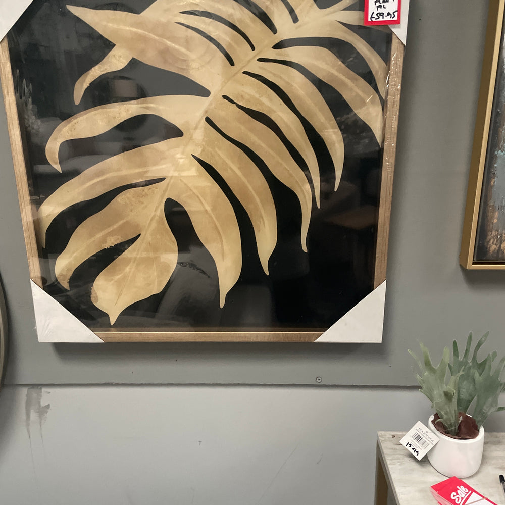 Framed picture with cheese plant leaf . Choice of 2