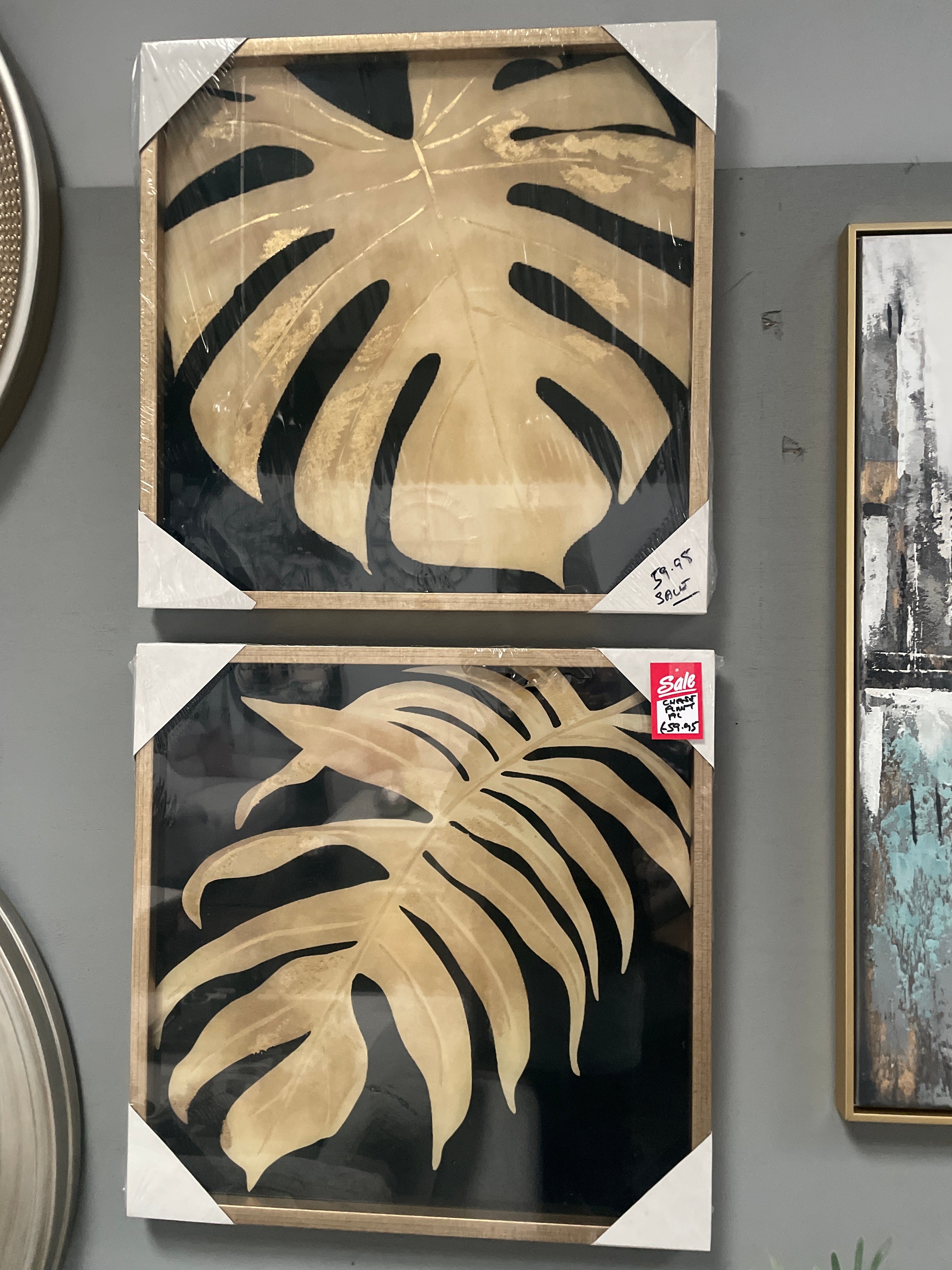 Framed picture with cheese plant leaf . Choice of 2 reduced-Renaissance Design Studio