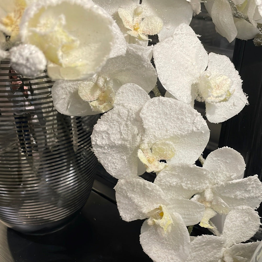 Frosted 120 cm white orchid reduced