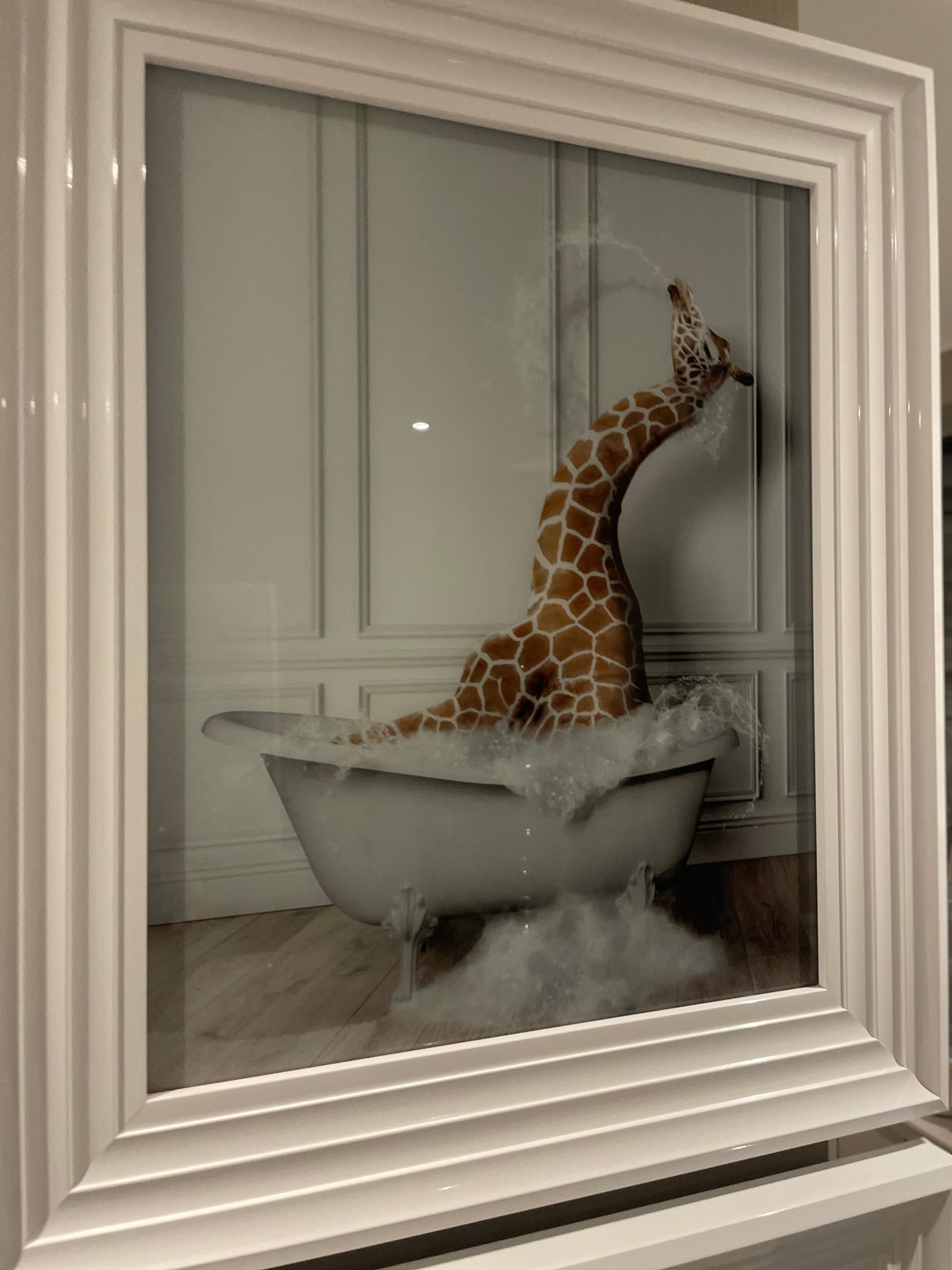 Giraffe in bath Medium framed art work-framed pictures-Renaissance Design Studio