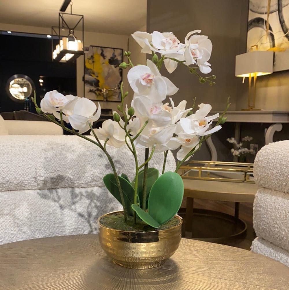 Gold oval base Real Touch orchid discontinued-Decorative Flower-Renaissance Design Studio