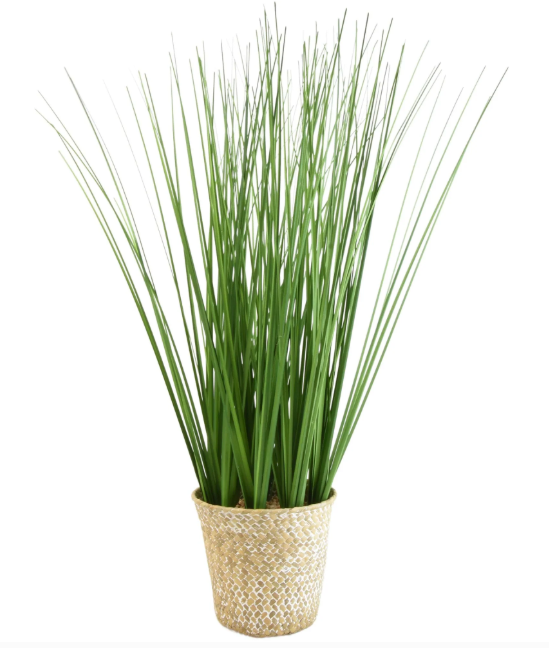 Green Grass in natural Rattan Basket-Renaissance Design Studio