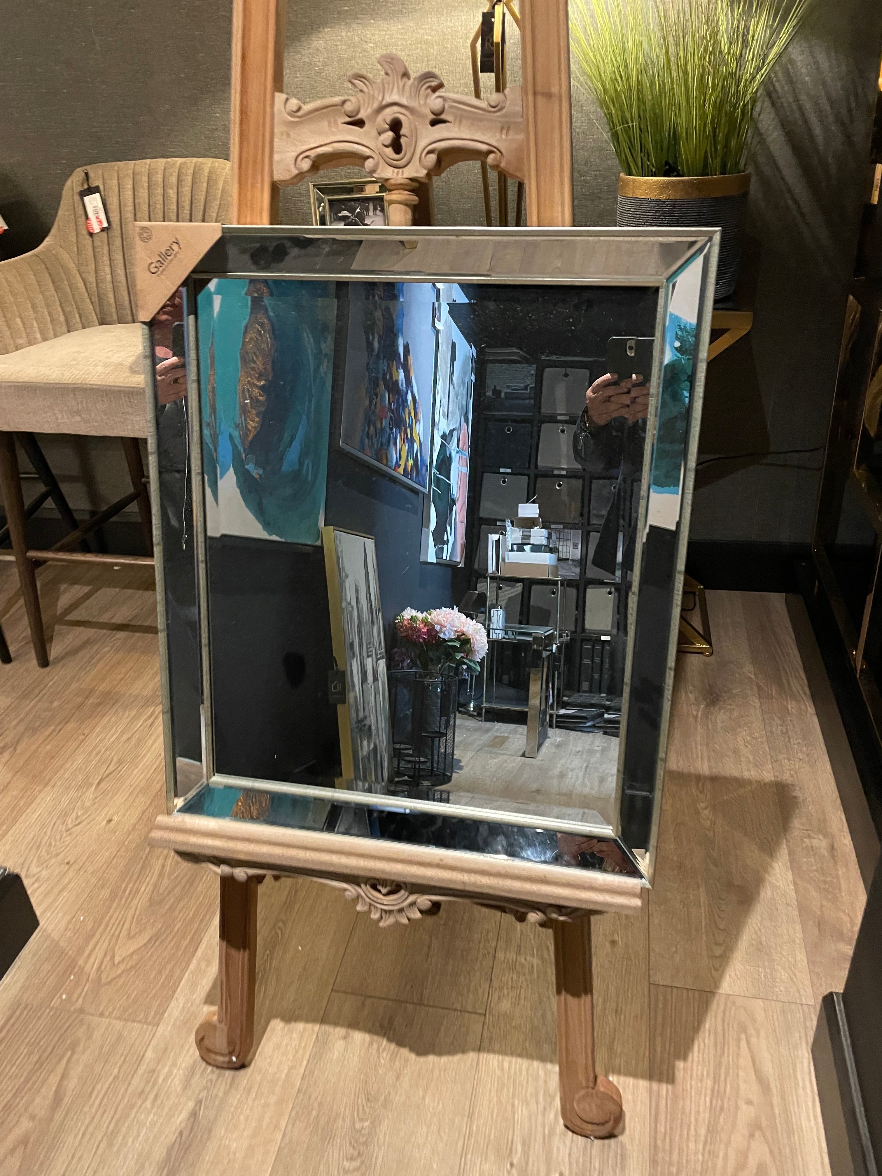 Henshaw contemporary mirror. with champagne frame REDUCED 60 x 70cm-Renaissance Design Studio