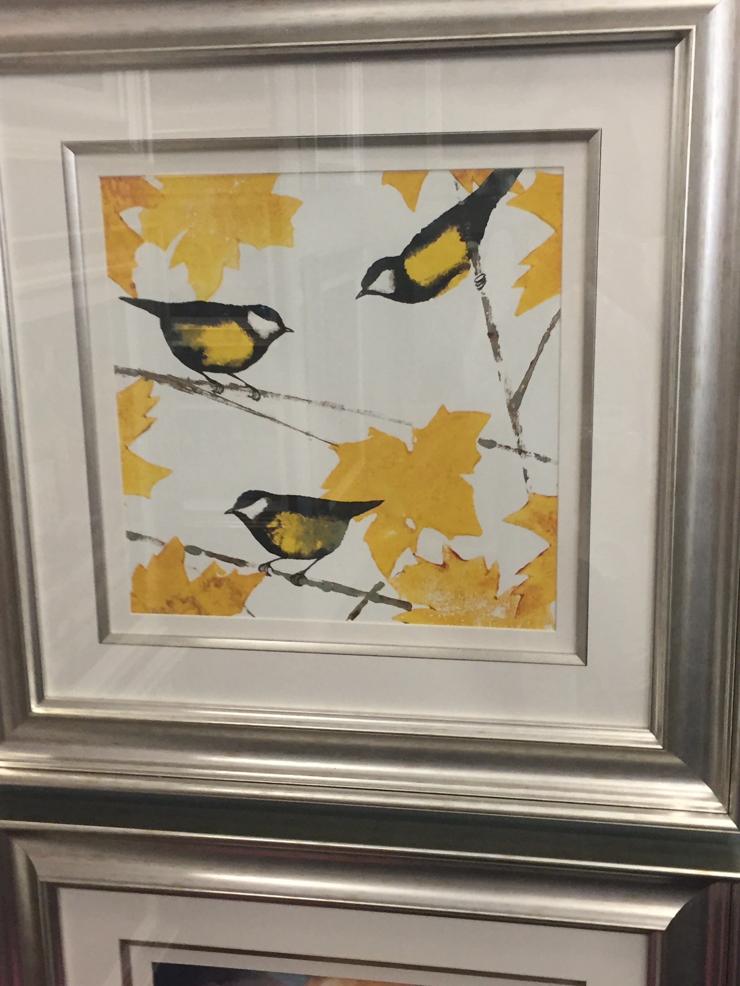 Birds on Champagne  frame wall art  Half Price reduced for Instore pick up.