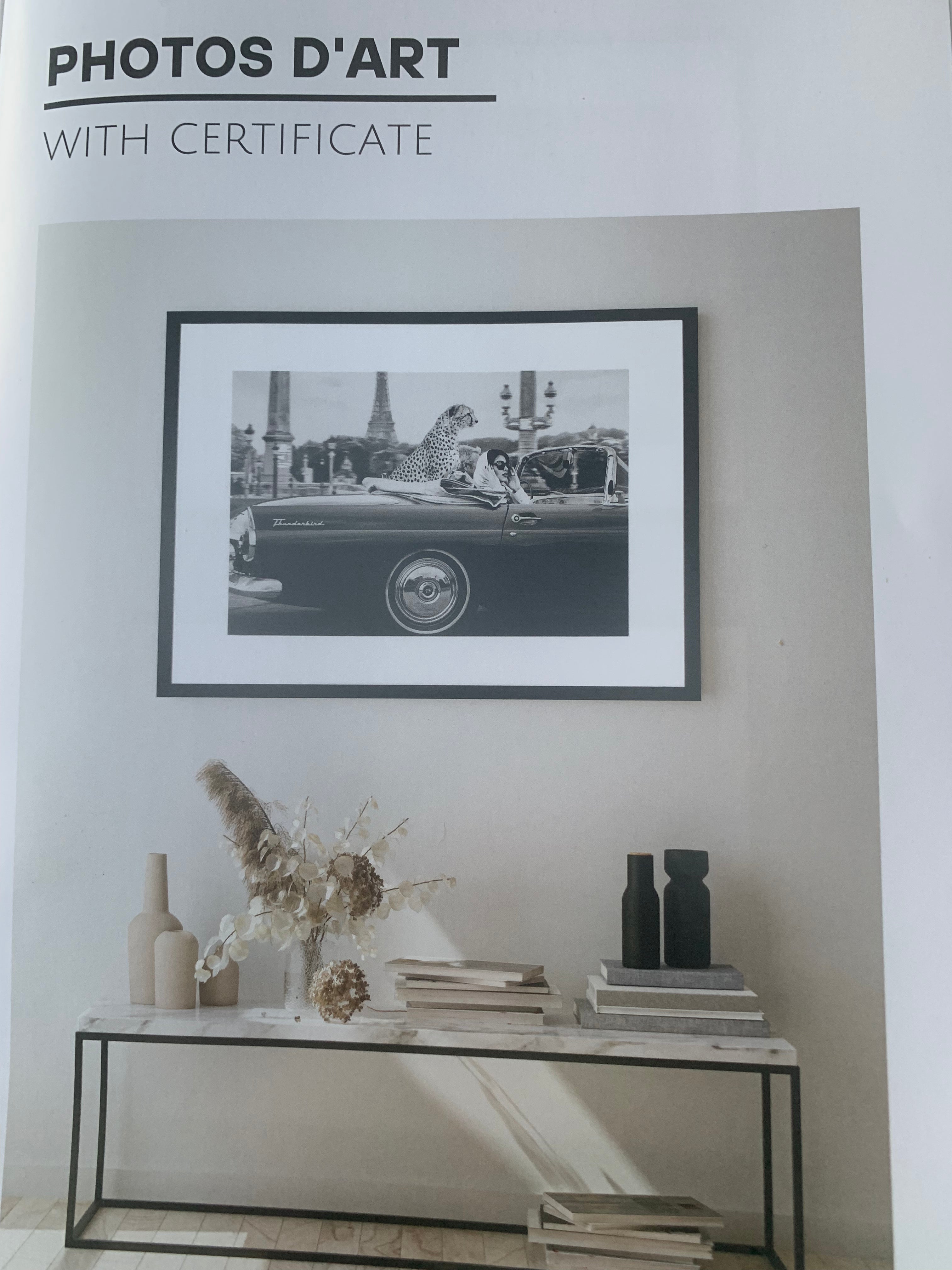 In Paris Certified Framed Wall Art woman with cheetah REDUCED-Renaissance Design Studio