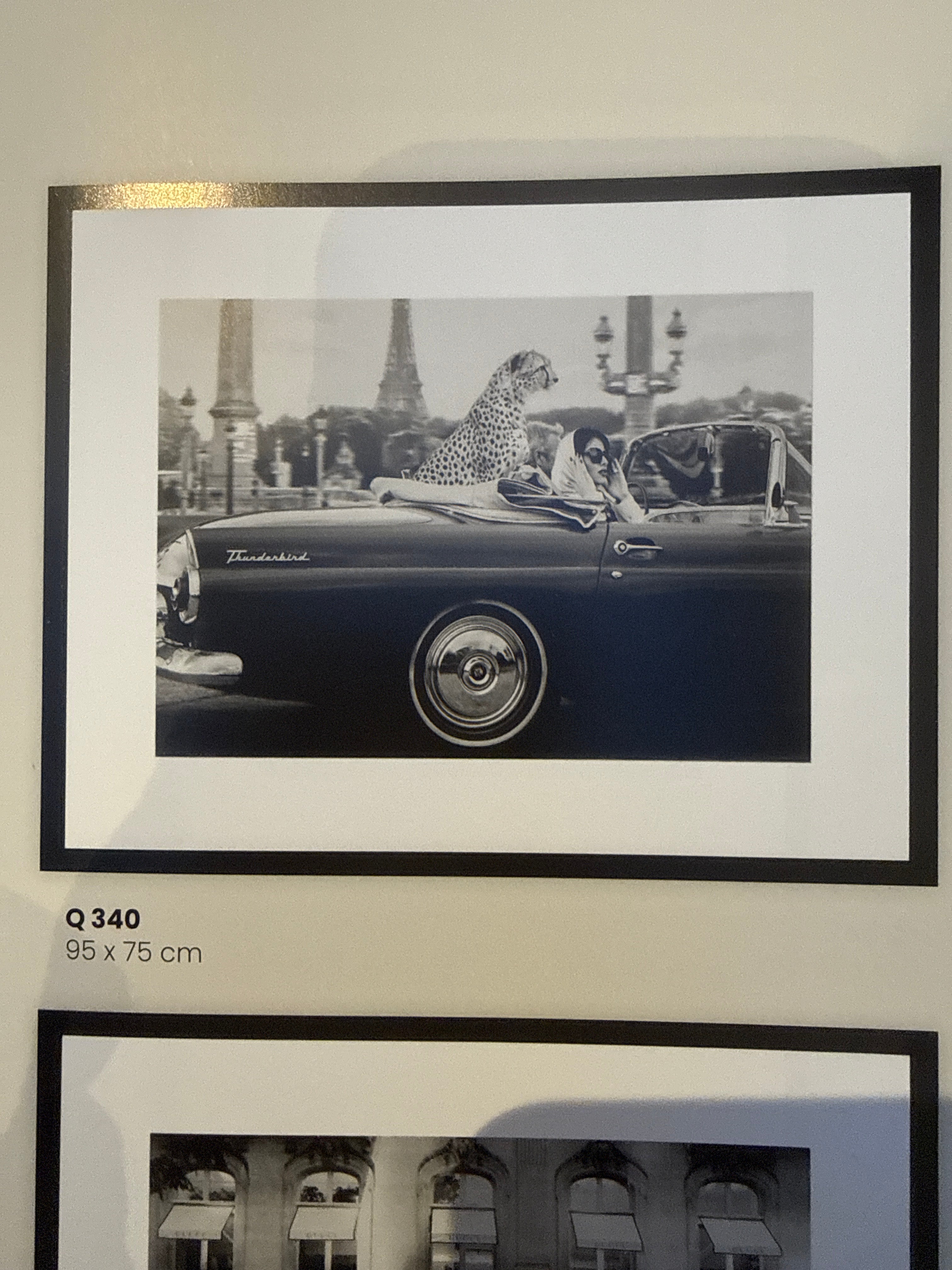 In Paris Certified Framed Wall Art woman with cheetah REDUCED-Renaissance Design Studio