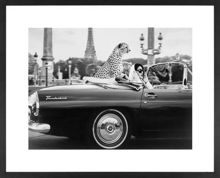 In Paris Certified Framed Wall Art woman with cheetah REDUCED-Renaissance Design Studio