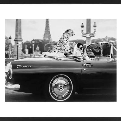 In Paris Certified Framed Wall Art woman with cheetah REDUCED