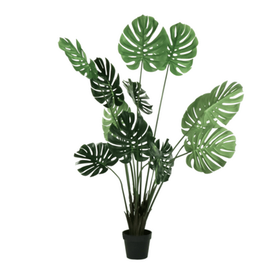 Jungle Plant Standing