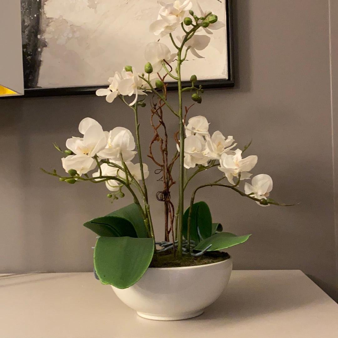 Large real touch silver base orchid-Decorative Flower-Renaissance Design Studio