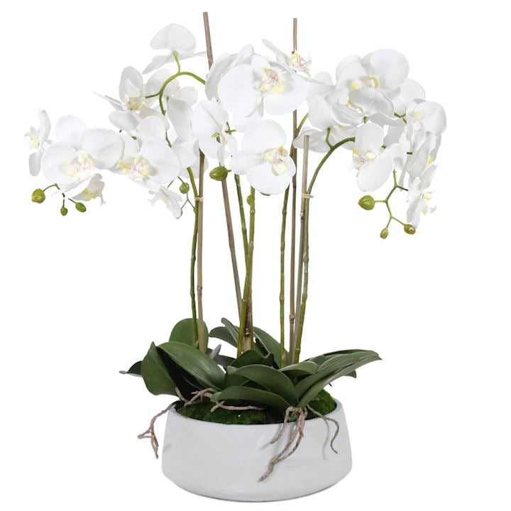 Medium stone pot filled with orchids and ferns-Renaissance Design Studio