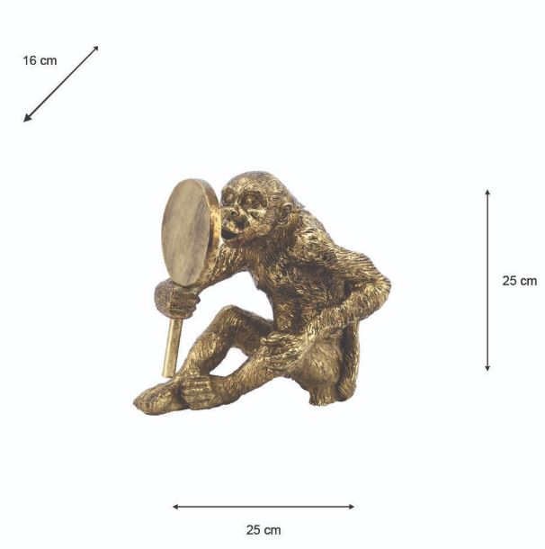 Monkey with mirror-Mirror-Renaissance Design Studio
