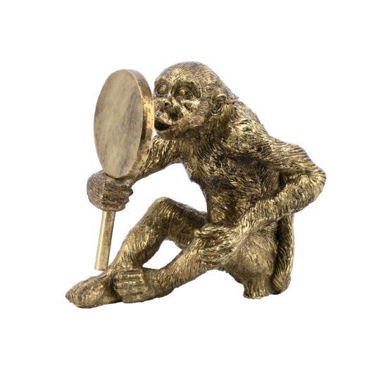 Monkey with mirror-Mirror-Renaissance Design Studio
