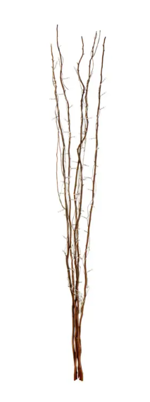 Natural twig with interwoven lights-Renaissance Design Studio