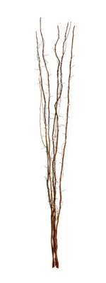 Natural twig with interwoven lights