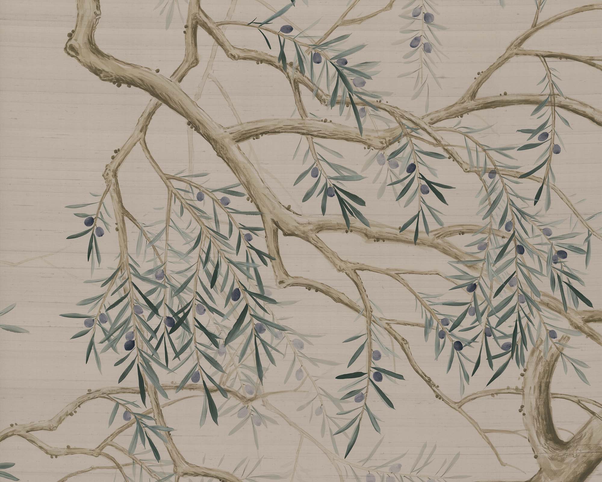 Olive Grove Tuscan by Fromental