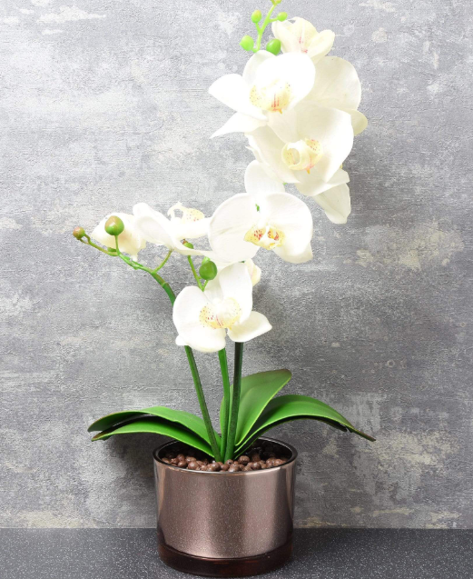 Orchid 40cm Glass pot cream and gold-Renaissance Design Studio