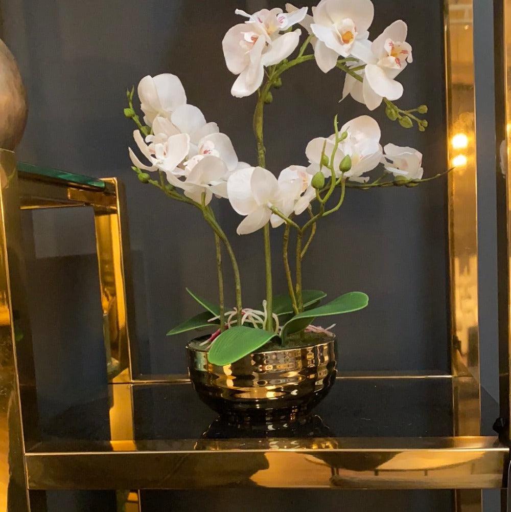 orchid in Gold bowl REDUCED-Renaissance Design Studio
