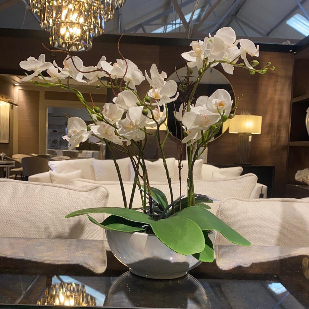 Orchid real touch in white pot discontinued-Flower Ornament-Renaissance Design Studio
