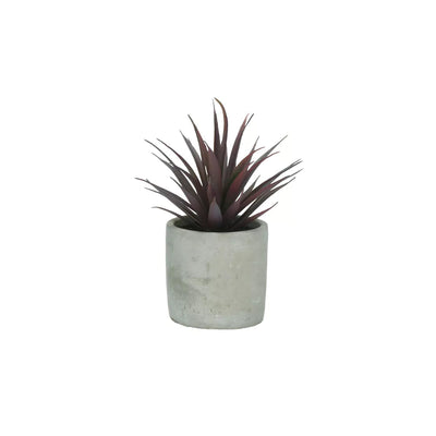 Purple Jungle Plant in cement pot