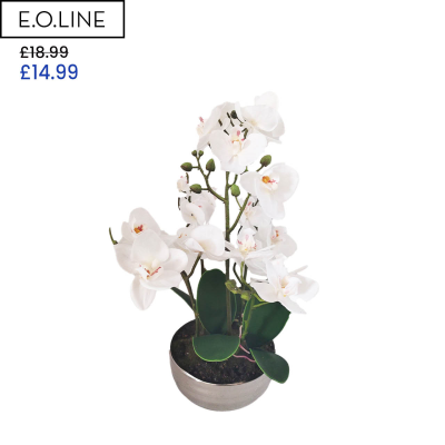 Real touch orchids in a bowl HALF PRICE Looks real !Perfect gift last one