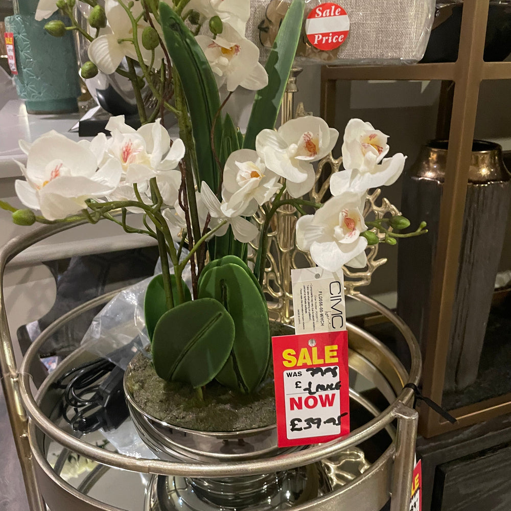 Real touch orchids in a bowl HALF PRICE Looks real !Perfect gift last one