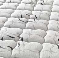 Serenity sleep Paradise Mattress various sizes 05-roll out mattress-Renaissance Design Studio