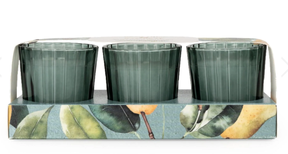 Set of 3 Votives - Pear Tree & Bay Leaf-Renaissance Design Studio