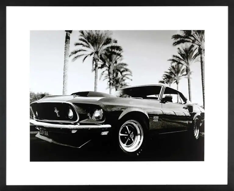 Vintage car in historic park framed exclusive prints