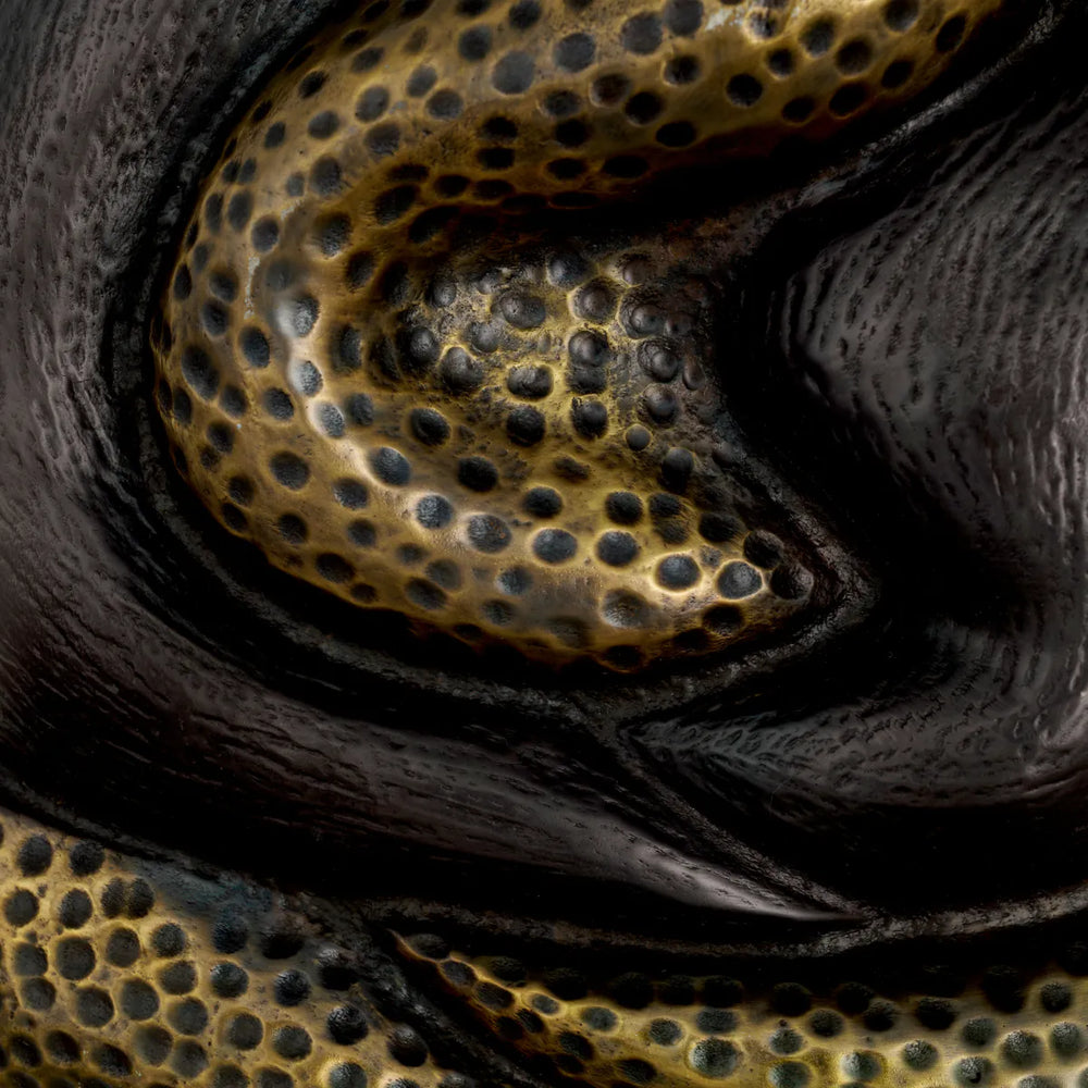 Wall Lamp Nuno.  ex showroom less 20%