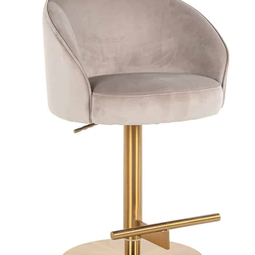 Zanzi Swivel Designer Barstool